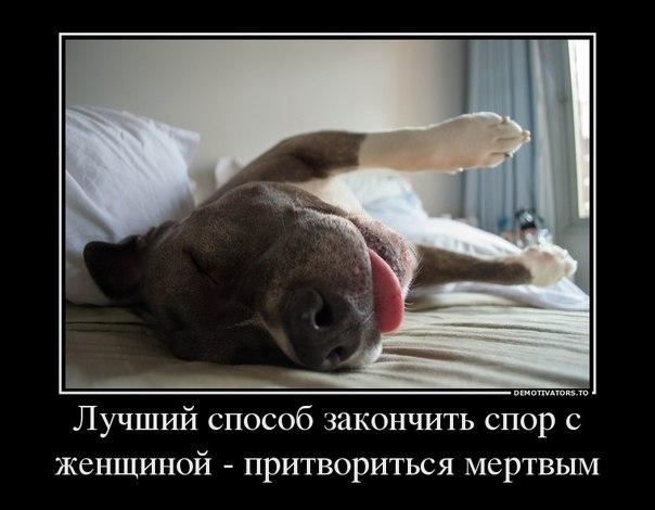 Весёлые картинки в чёрной рамке