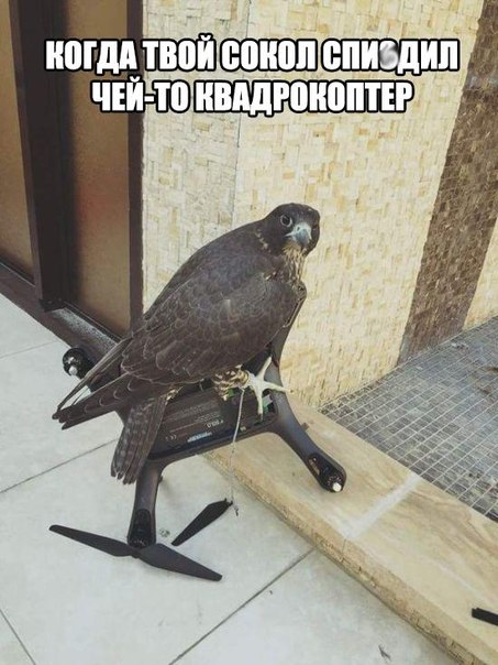 Немного картинок