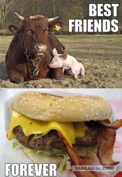 Абсурдный юмор ч.2