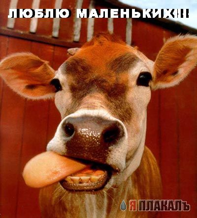 Уже да :) Ужо пятнецца...