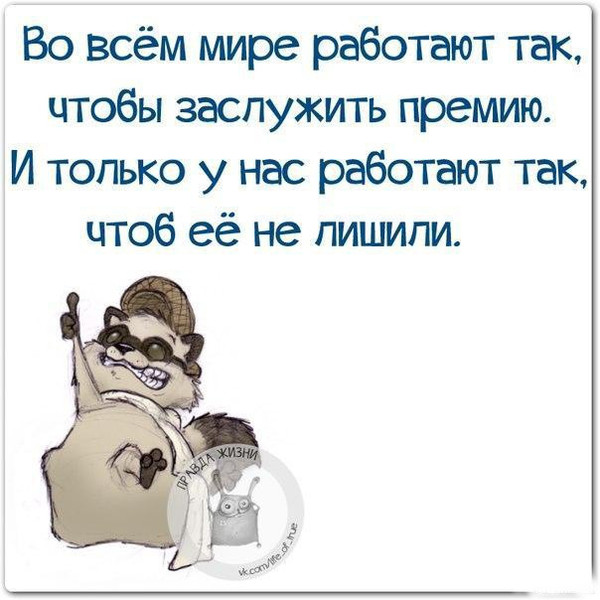 Смешные комментарии из социальных сетей 19.02.2016
