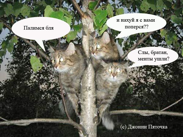 Захват объекта