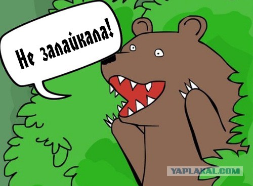 Бессердечная ты самка