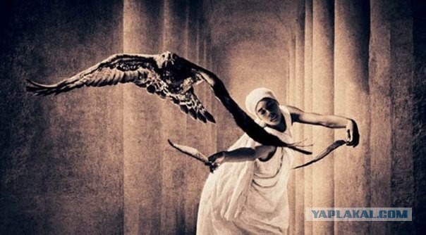 Подборка картинок 29.03.16