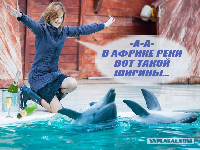 Фотожаба: Поклонская с дельфинами