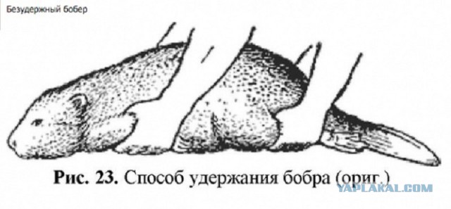 Абсурдный юмор ч. 23