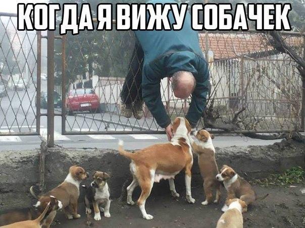 Мохнатые беспредельщики