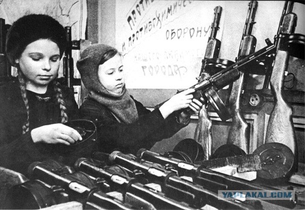 Здравствуй, взрослая жизнь