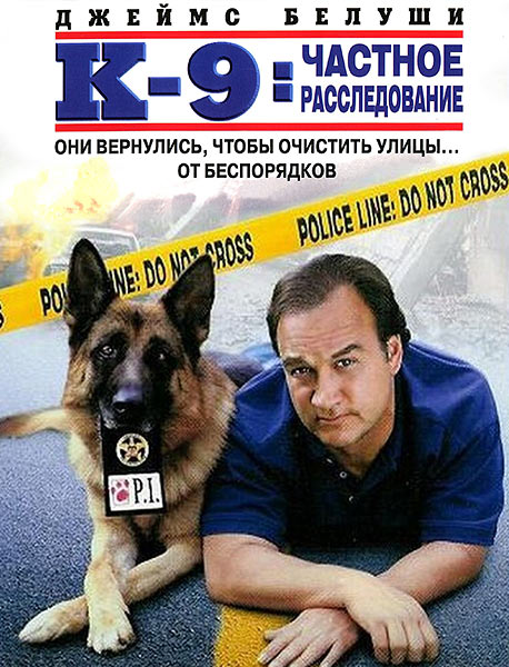 Этот КОП знает свою работу и взятку не возьмёт