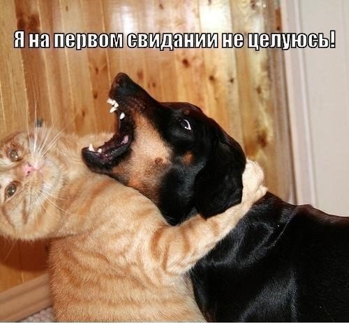 Мохнатые беспредельщики