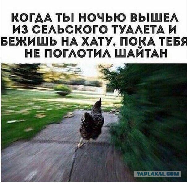 Юмор не для всех