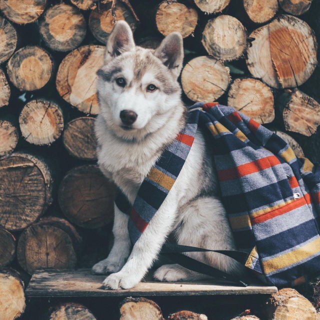 Разные картинки из сети