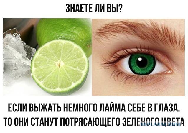 День открытых дверей в палате №6