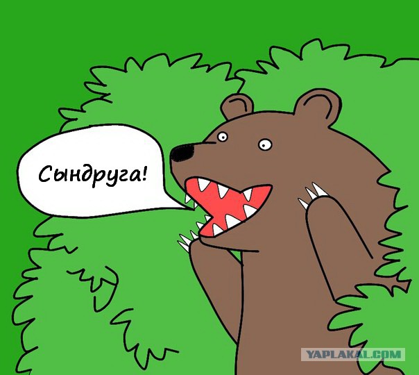 Будни сисадмина