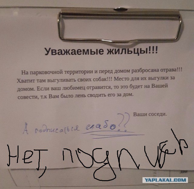 Вот такие соседи