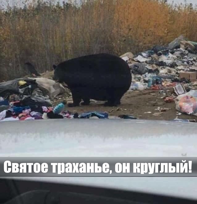130 картинок для поднятия настроения!