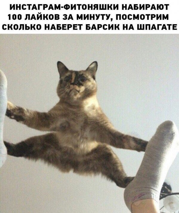 Нестандартный юмор
