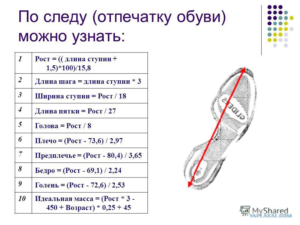 Площадь подошвы ноги. Как определить рост по размеру ноги. Определит по росту человека размер стопы. Размер стопы по размерам. Формула расчета размера обуви по следу обуви.