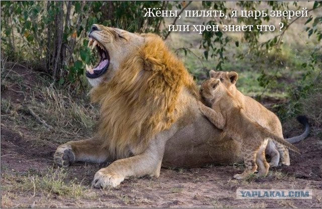 Первая встреча с отцом