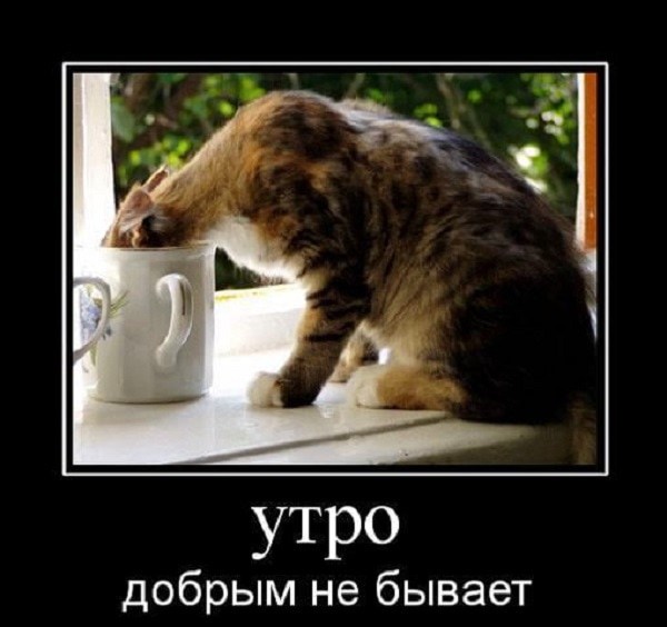 Бредзона 14.05.20