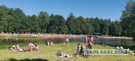 Массовый просмотр развода мостов в Спб, несмотря на вирус