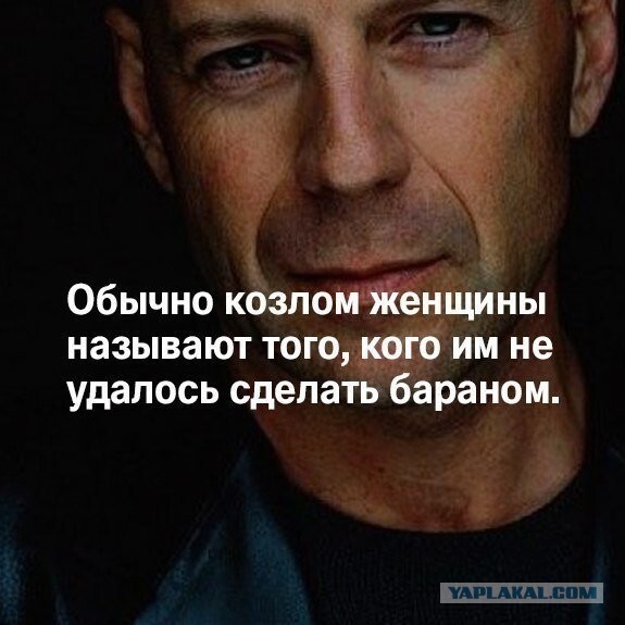 Так себе картинки 21.06.20