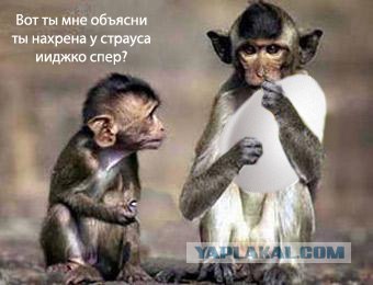 Фотожаба на пятницу