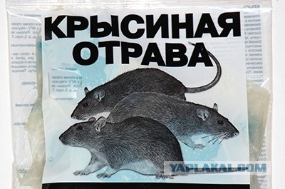 В Москве целая семья попала в реанимацию, съев арбуз купленный в «Магните»