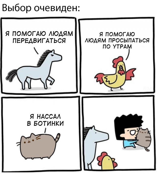 Картинки и мемы для настроения 13.12.2021