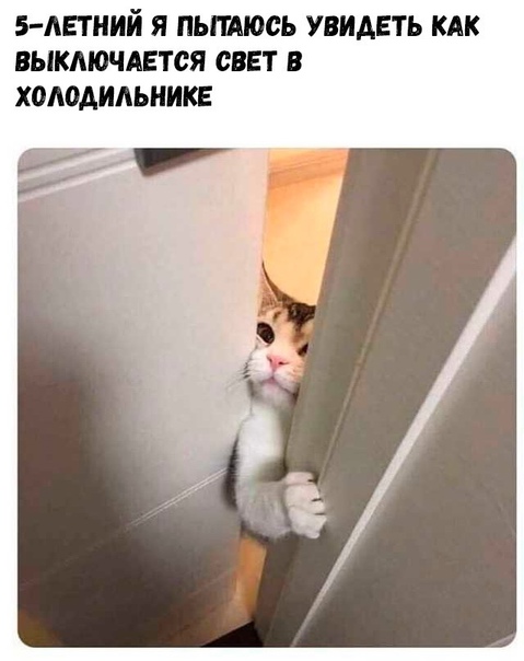 40 картинок разных 03.02.2022