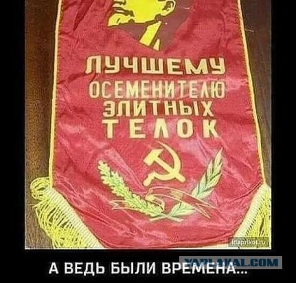 Пятница. И немного слегка пошлых картинок с надписями и без 16+ (22.04)