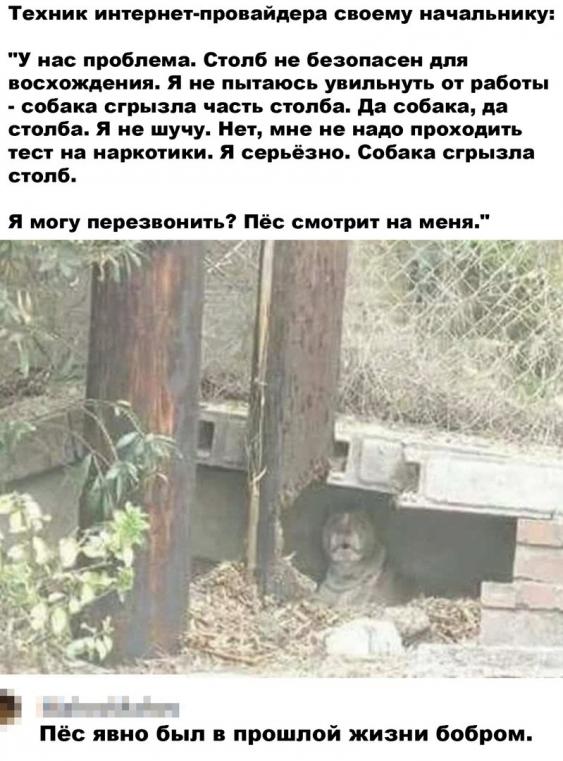 Так себе картинки 23.04.22