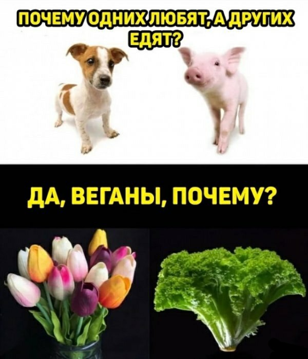 Средненедельная ХНЯ