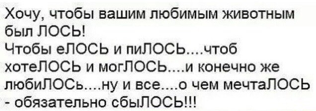 Весёлый полтишок 26.12.2022