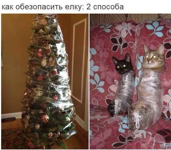Картинки и мемы, всем хороших выходных