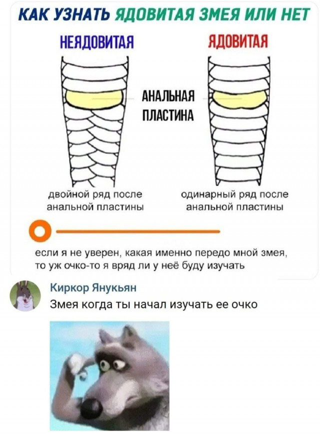 Буквы, рамки 18+