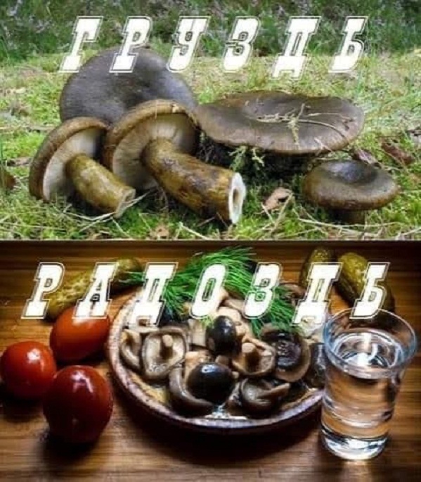 Картинки и мемы, всяко разно - 175