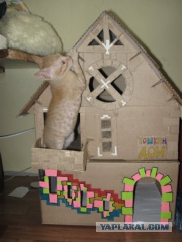 Кошкин дом
