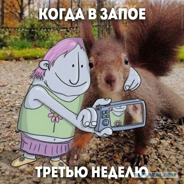 Женился на девственнице и пожалел!