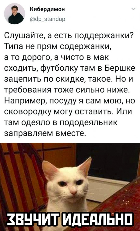 Весёлый полтишок 15.09.23
