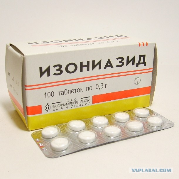 Стая бродячих собак чуть не разорвала девушку в Нижневартовске