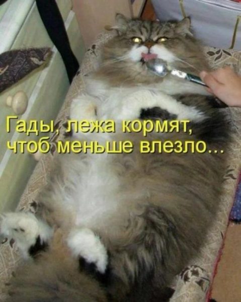 Отряд быстрого деградирования
