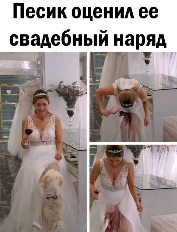 Так себе картинки 06.10.24