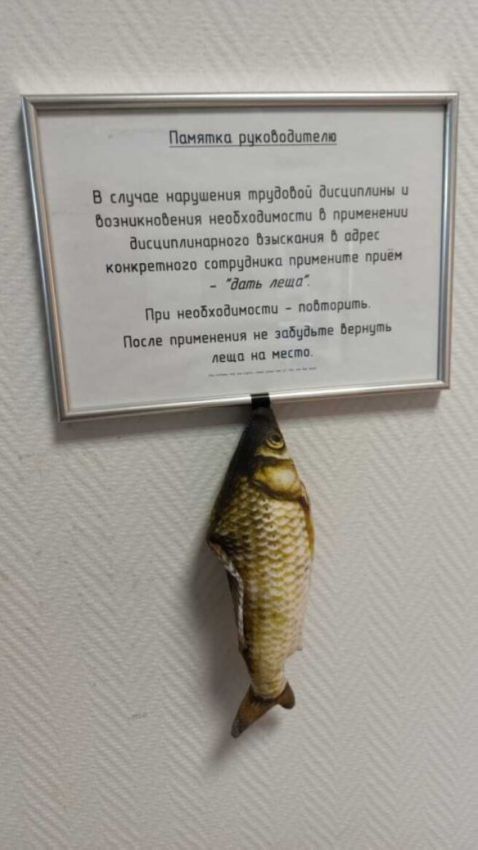 Так себе картинки 27.10.24
