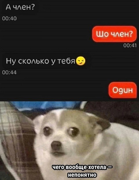 Весёлый полтишок 27.02.2025
