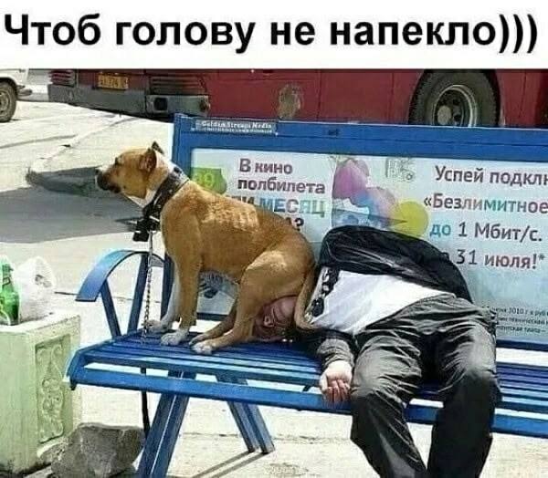 Так себе картинки 14.09.25