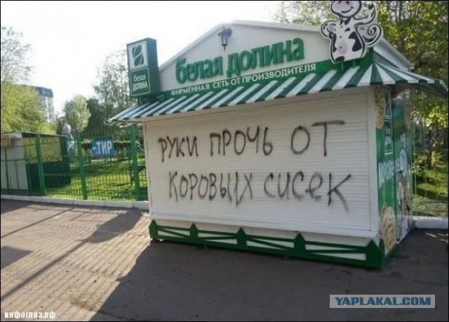 Картинки для деградации 102 (разной степени свежести)