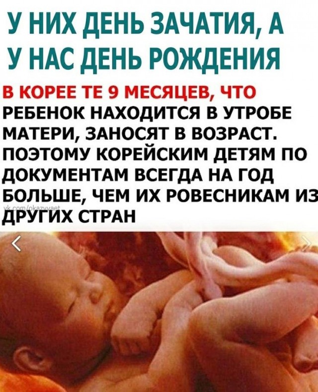 Куча мала 13