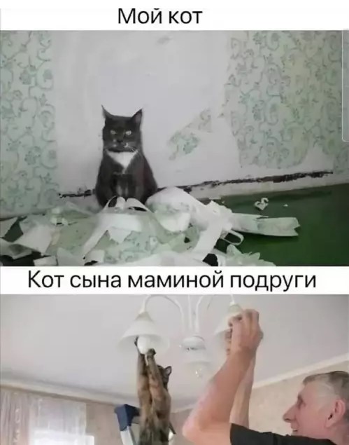Картиночки, баянчики 15 марта