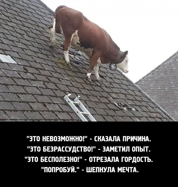 Самой боянистой на вашей памяти картинки псто